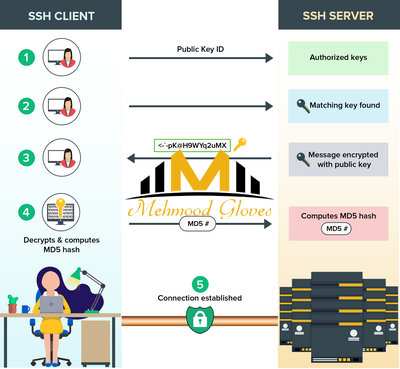 Unlocking Peak Server Performance: The Means To Monitor Server Resources Utilizing Your Internet Hosting Management Panel Unlocking Peak Server Performance: The Means To Monitor Server Resources Utilizing Your Internet Hosting Management Panel