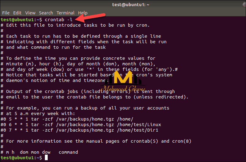 How To Choose Between VPS And Dedicated Server In 2025