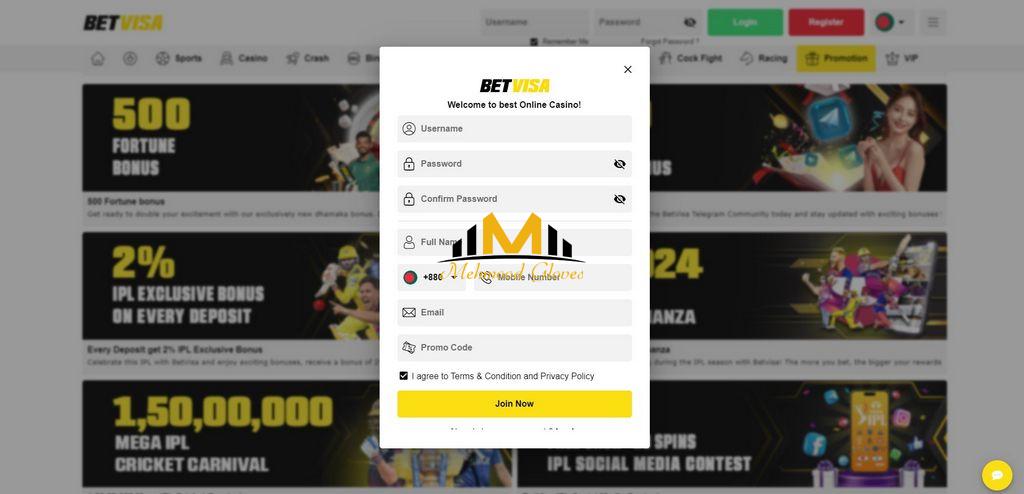 BetVisa: Your Ultimate Review to Online Gambling Enterprise