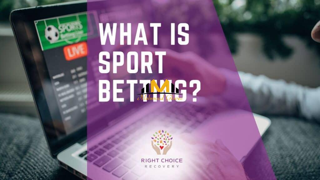 Best Bookies for Live Streaming 50 Best Bookies for Live Streaming 50